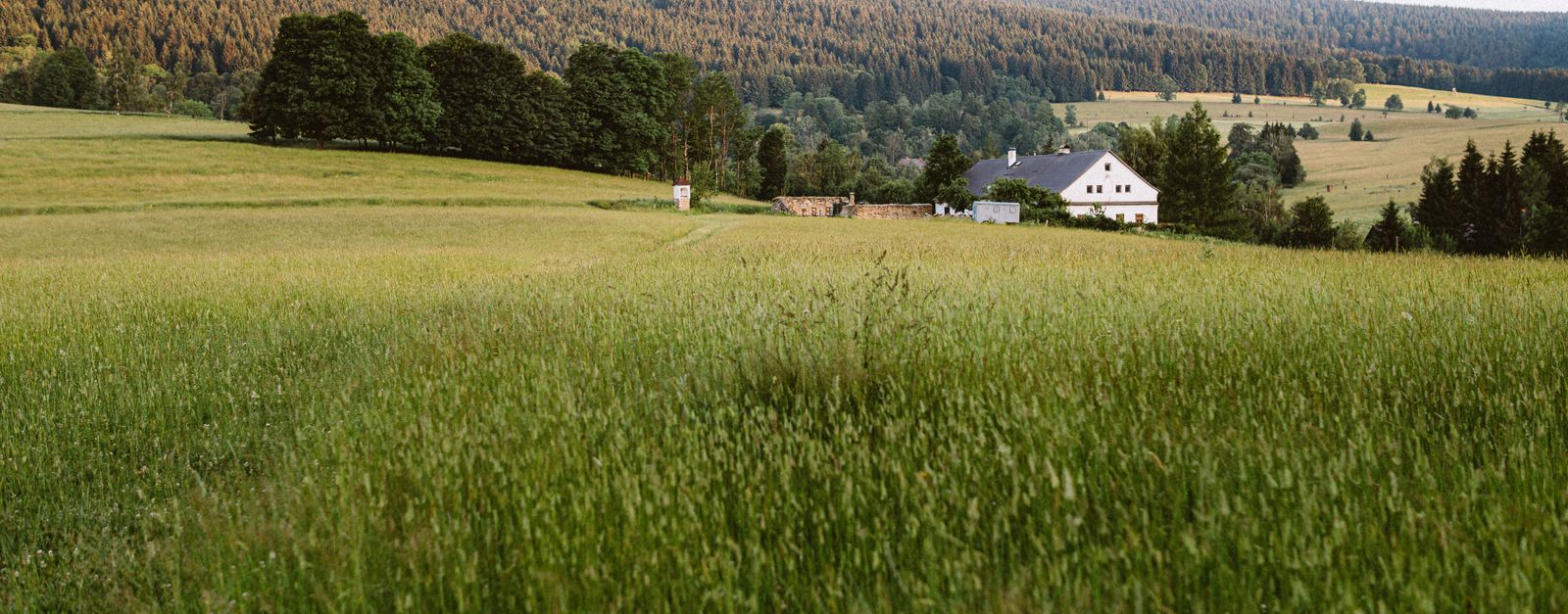Tranquil meadow view in Jeseník, Czech Republic, with distant forests and rustic farmhouse.