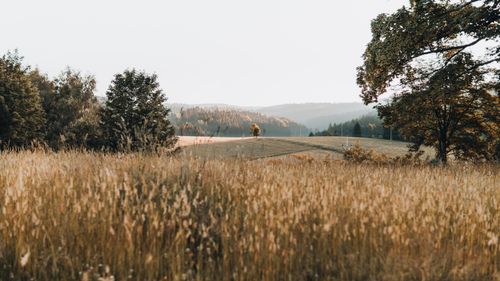 Free Idyllic countryside landscape in Jeseník, showcasing sunlit fields and distant hills under a golden sky. Stock Photo