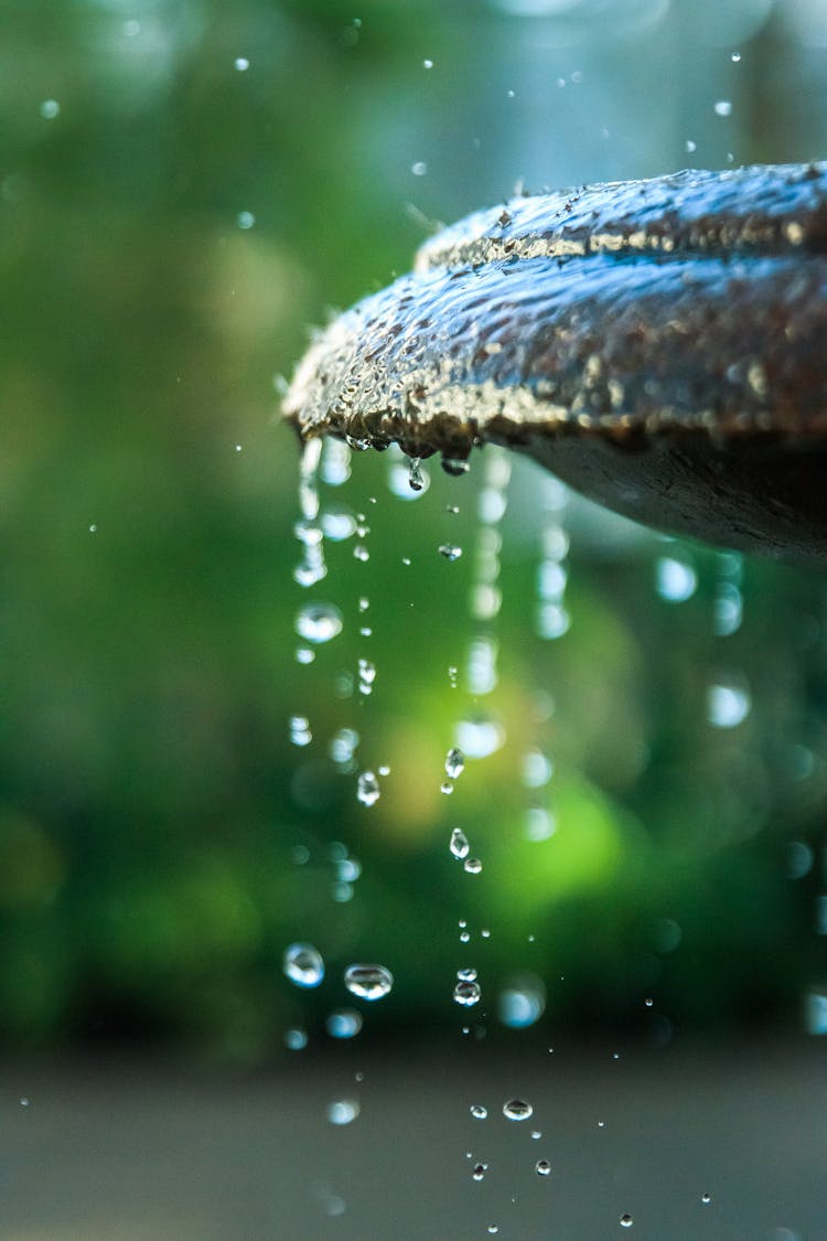 Dripping Water On Brown Stone