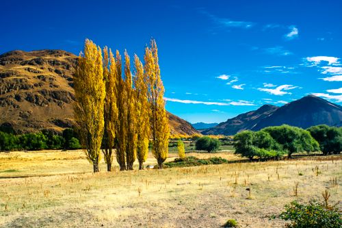 Free Stunning Patagonian landscape with golden trees, mountains, and blue sky in Esquel, Argentina. Stock Photo