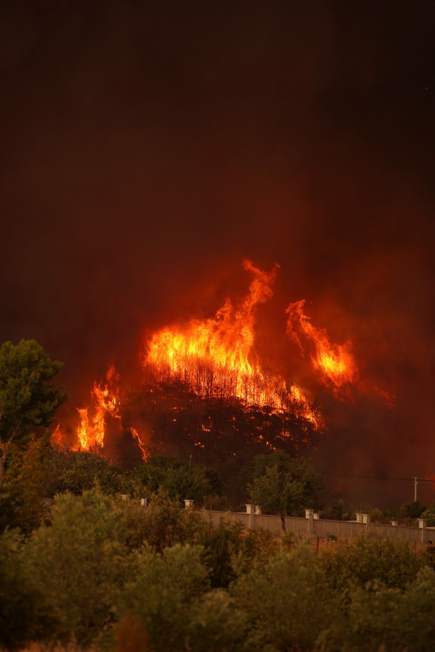VEGETATION FIRE