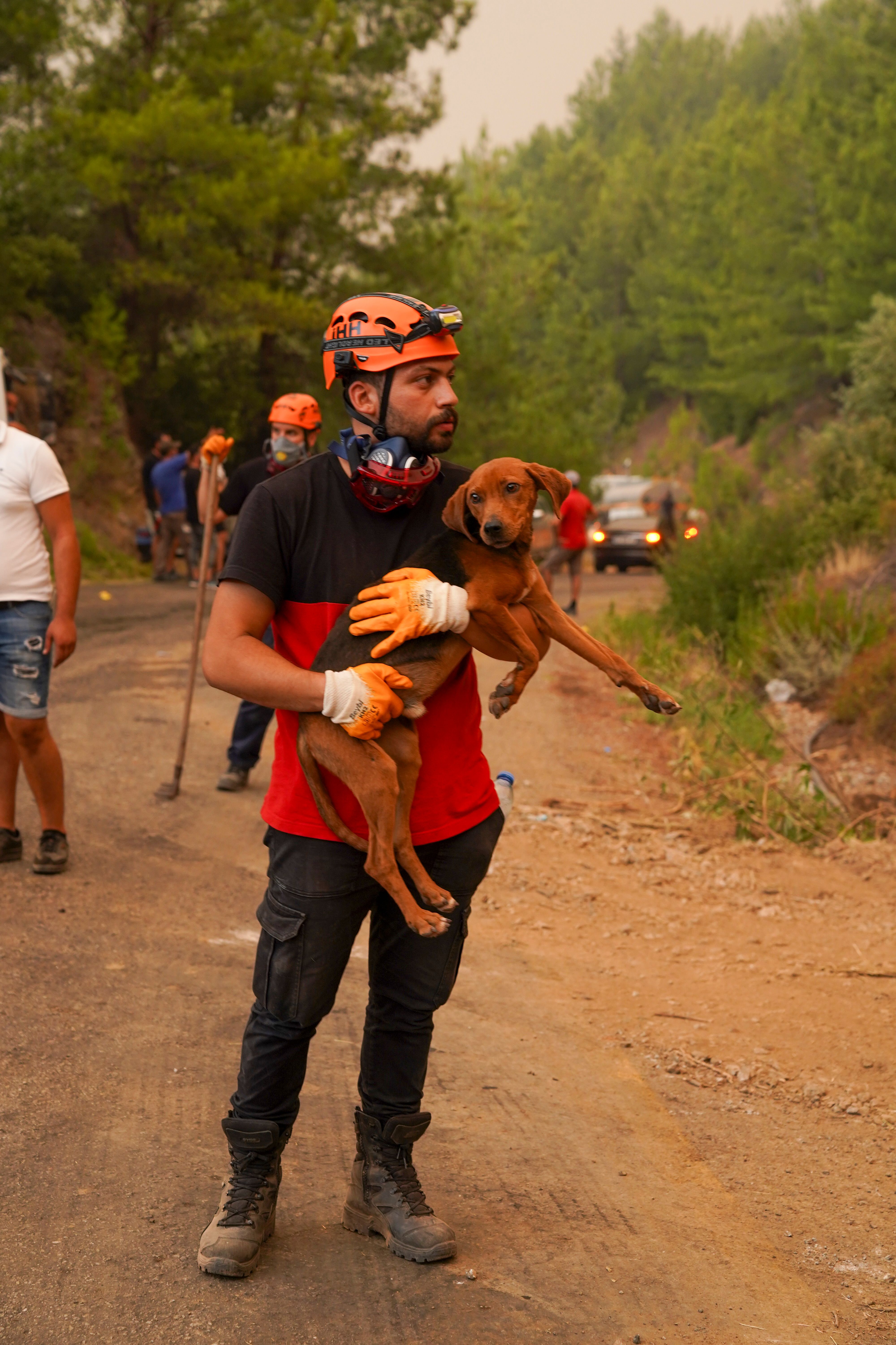 Dogs Rescued From Deep Well, 50-Foot Cave Across U.S. Highlight Coordinated Rescue Efforts