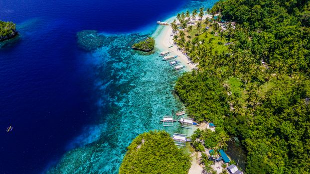 Stunning aerial vista of a turquoise beach in Caraga, Philippines, surrounded by lush greenery.
