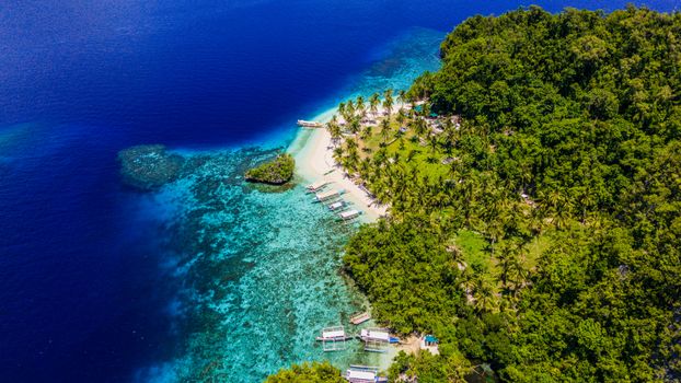 Breathtaking aerial shot of a secluded beach with turquoise waters and lush greenery in the Philippines.