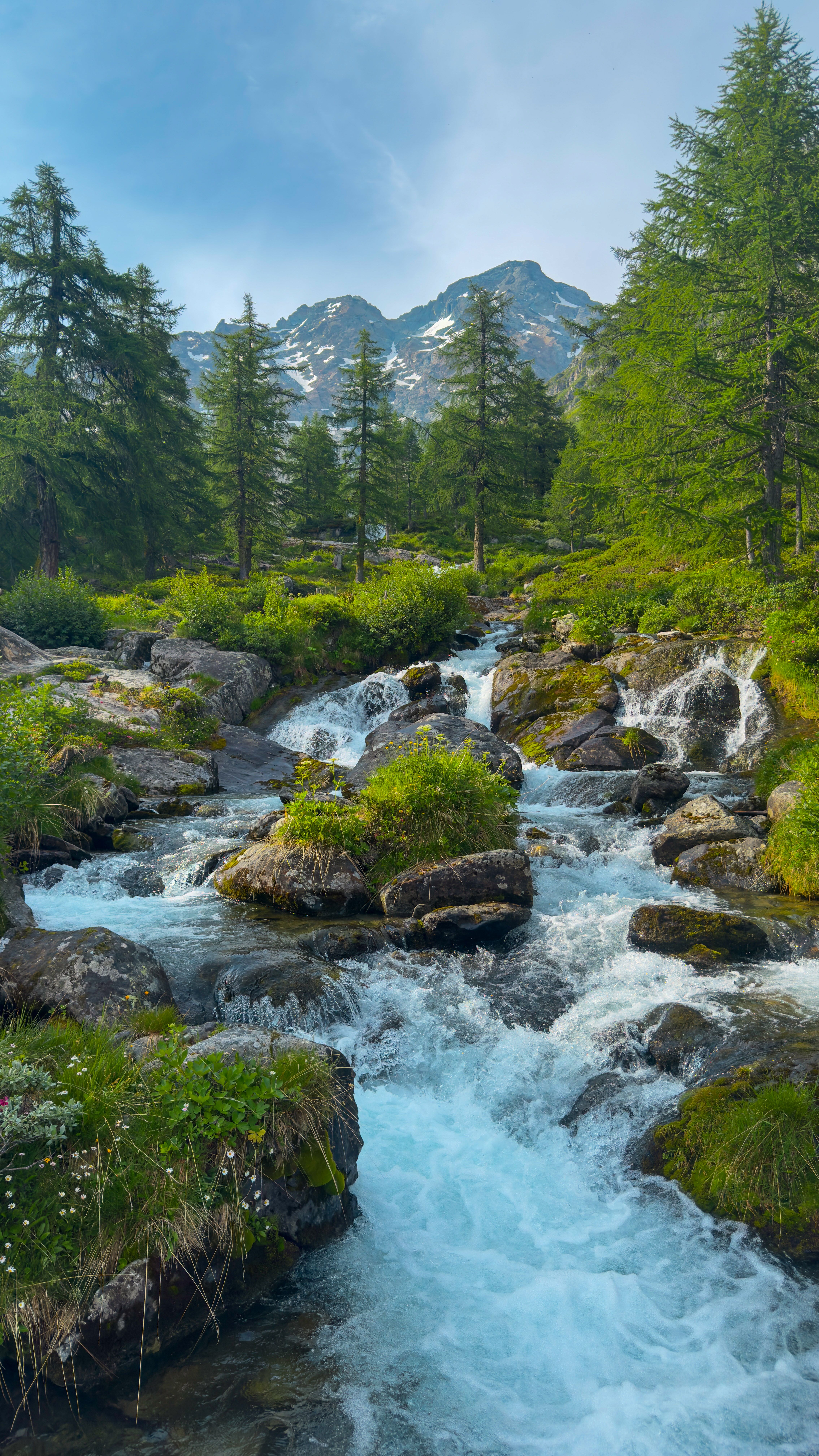 Serene mountain stream with lush greenery and alpine backdrop, ideal for nature exploration.
