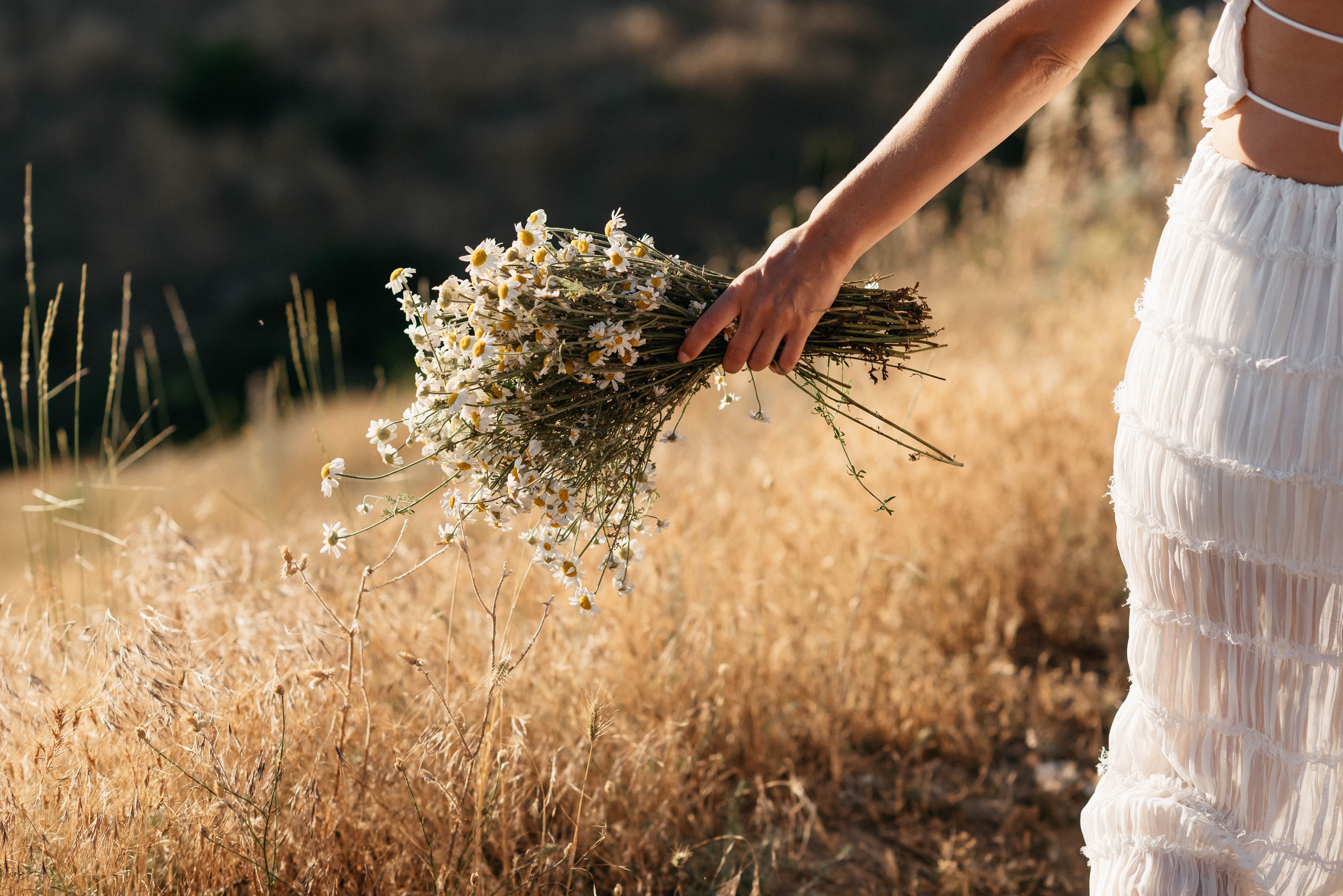 A woman in a white dress holding a bouquet of daisies in a sunlit field, evoking a serene summer vibe.