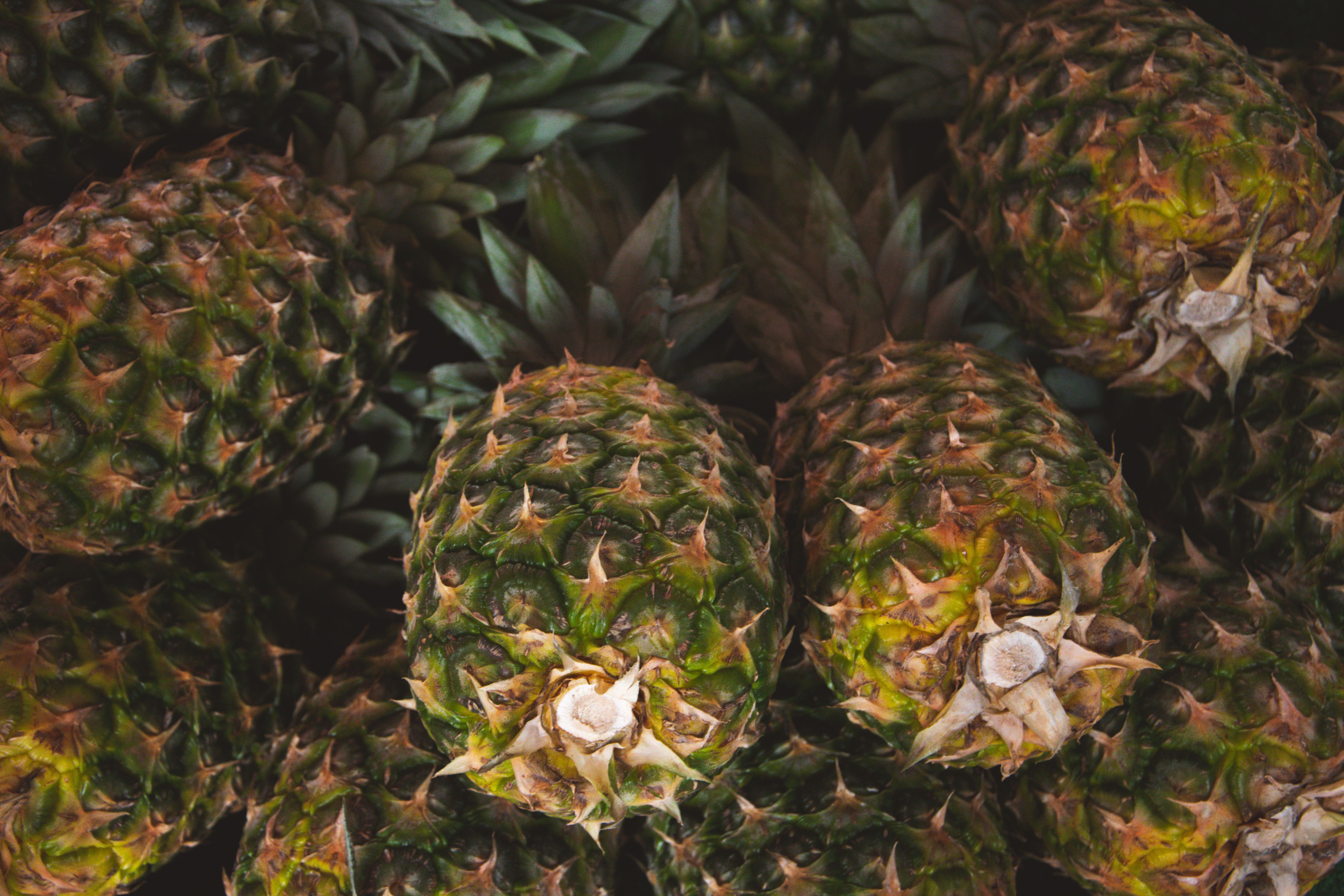 Fruit, edible; pineapples, fresh or dried