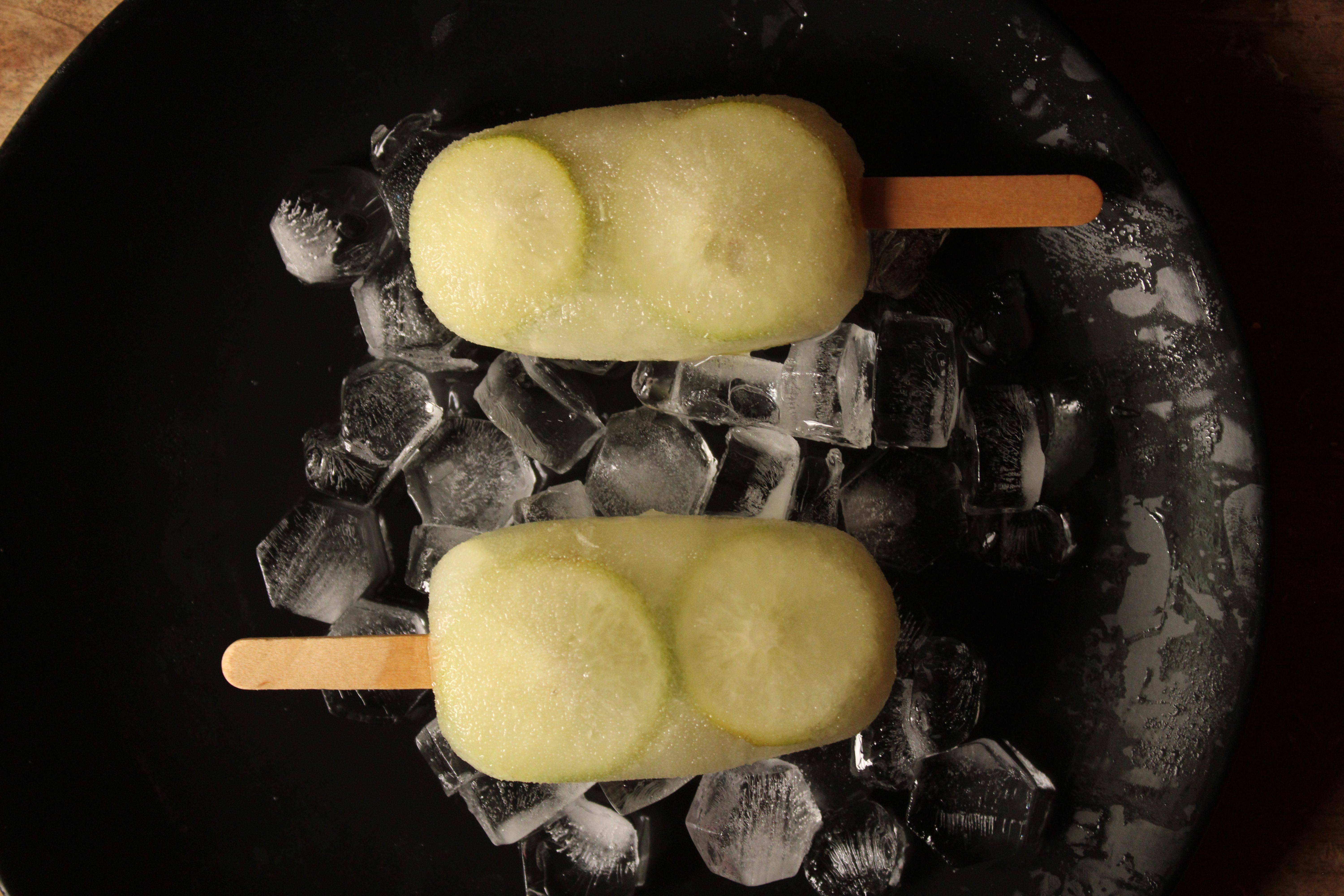 Cool & Refreshing Natural Pet Treats: Beat the Heat with PetTreatery's Summer Collection PetTreatery