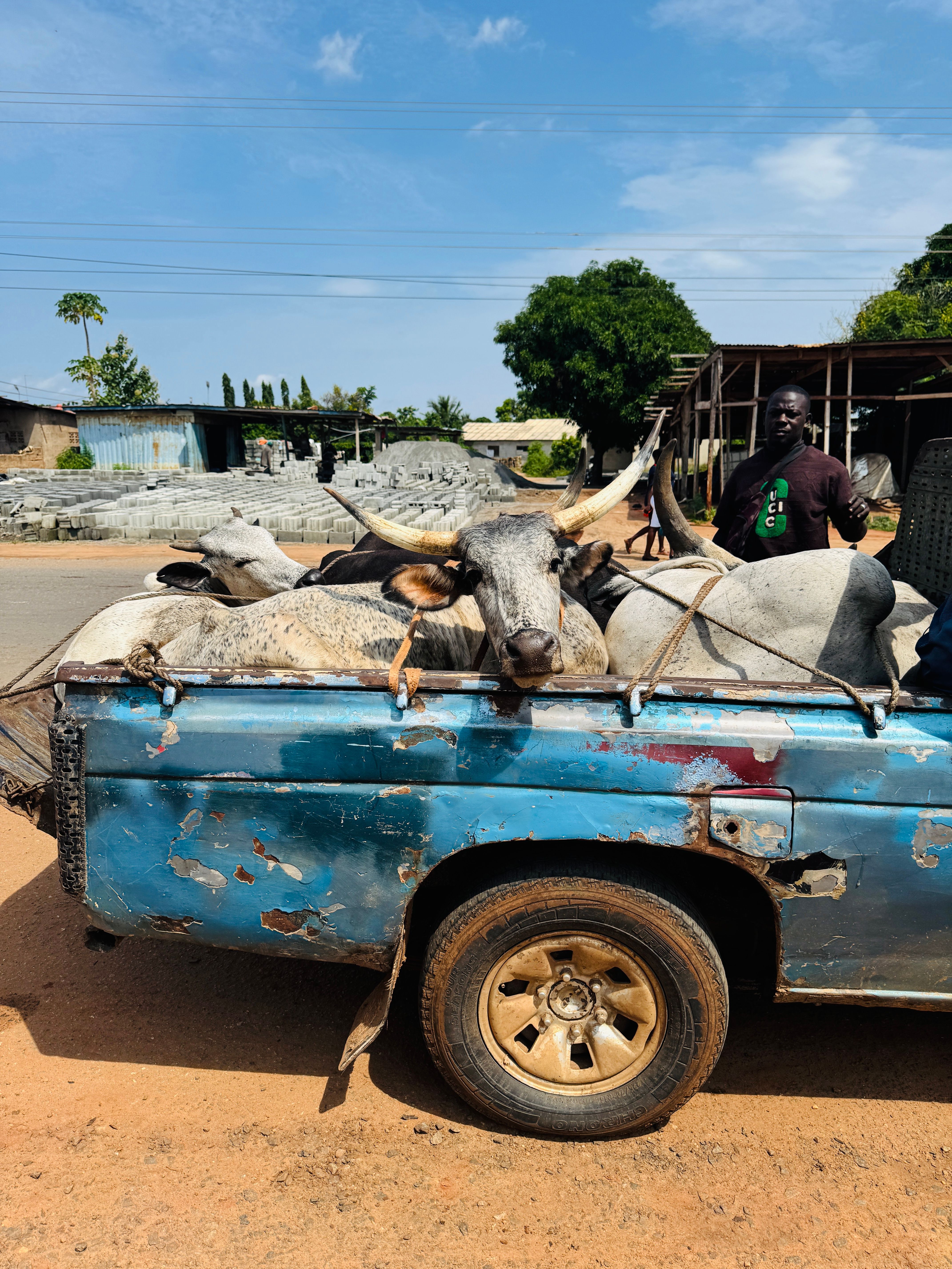 Impacto del crecimiento urbano en la industrialización y economía de Ghana