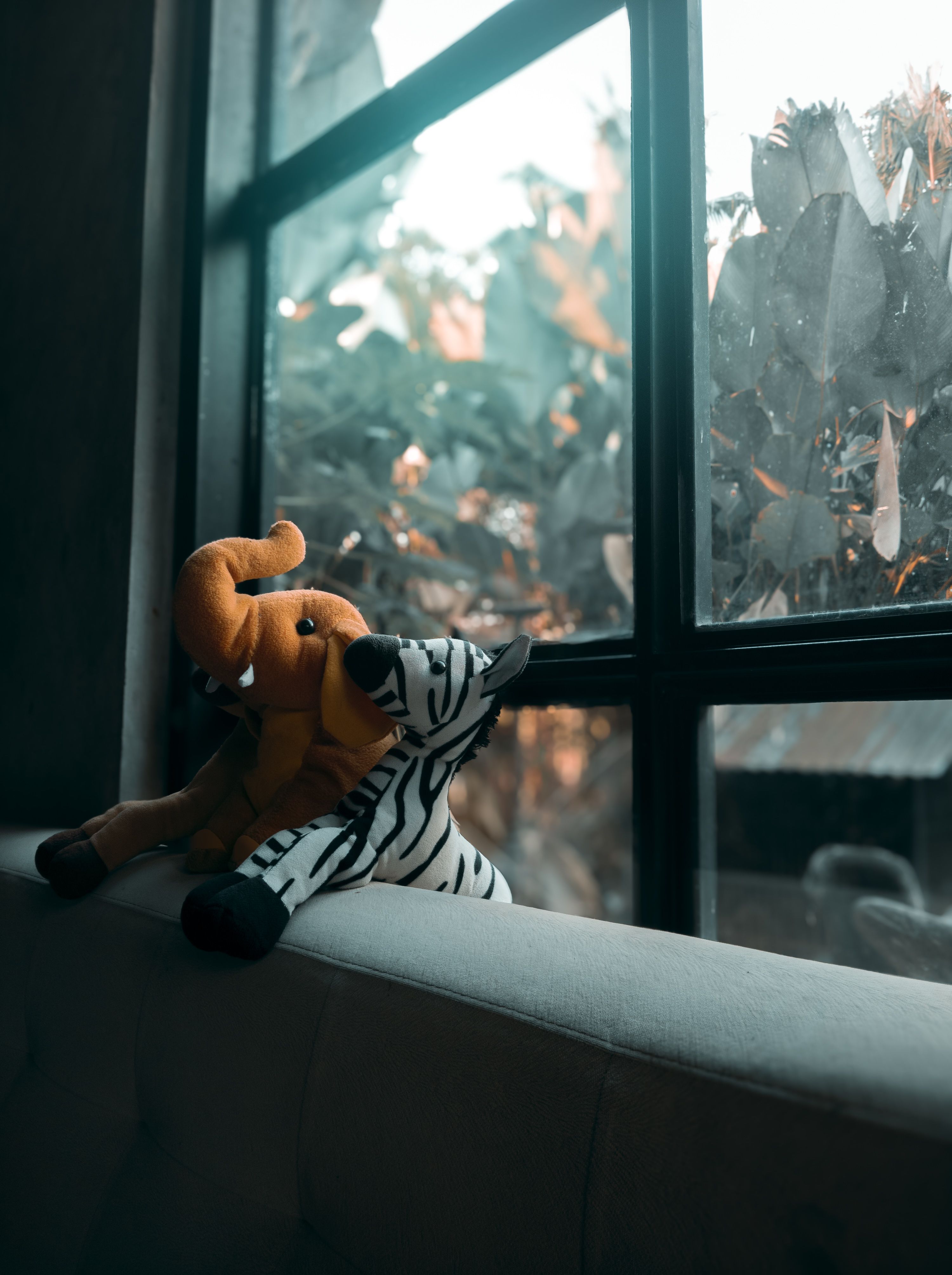 Cute elephant and zebra plush toys on a cozy indoor windowsill.