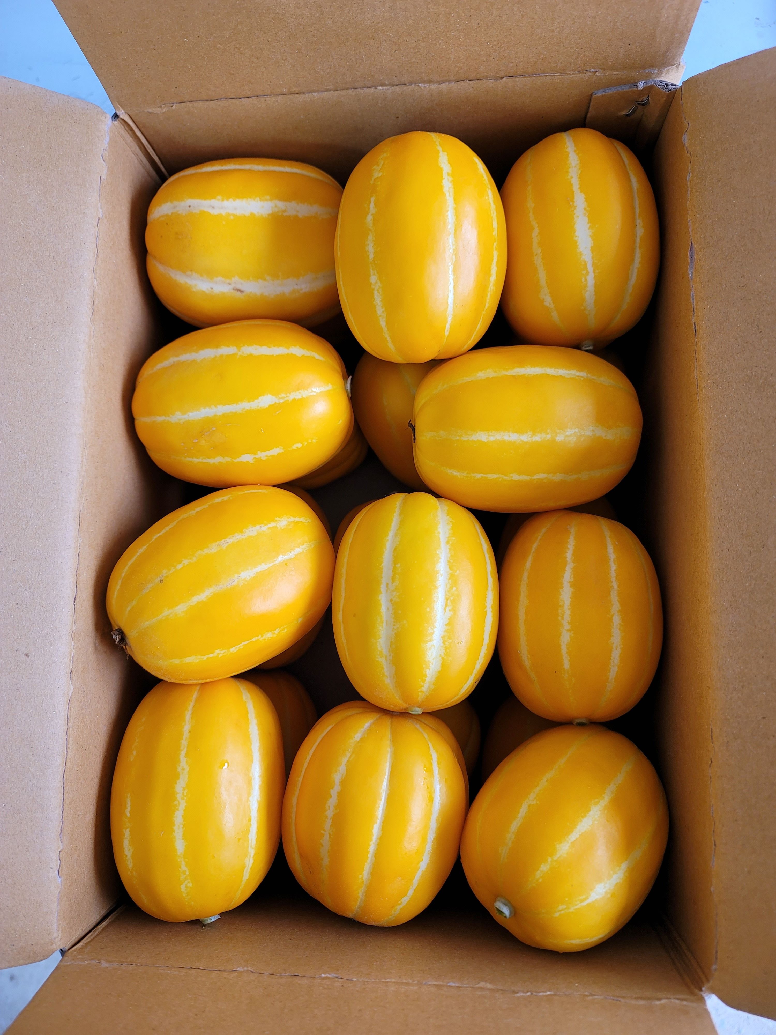 A box filled with ripe, striped yellow melons ready for sale or shipment.