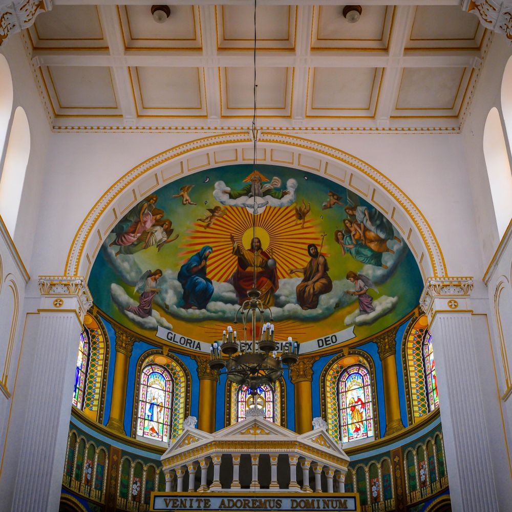 Interior Painting in St John's Wood — the finished result after a professional repaint