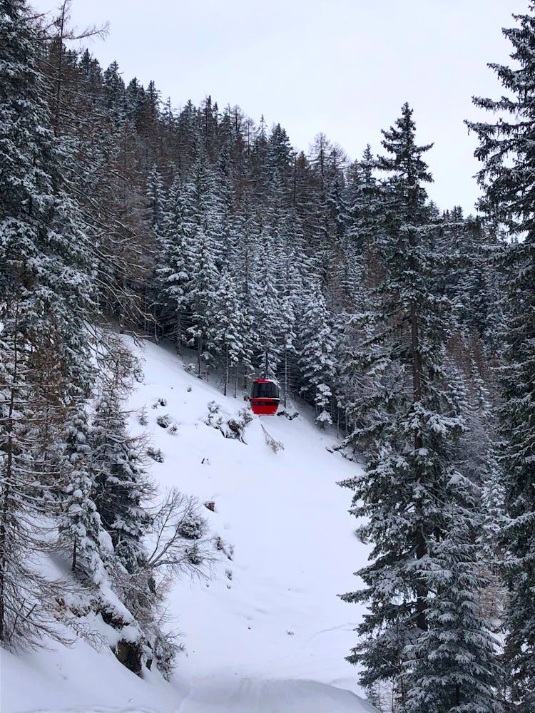 Cable Car In Mountain Forest Covered With Snow