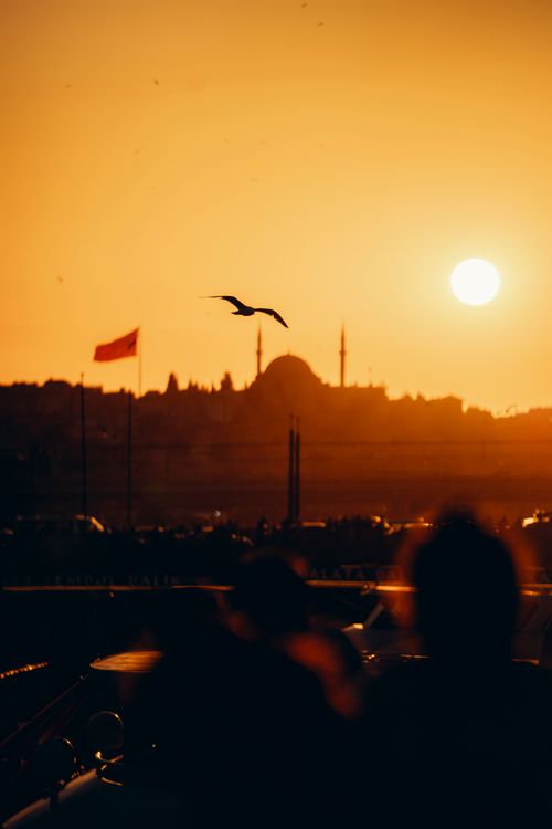 Free Dramatic sunset view of Istanbul skyline with silhouette of mosque and flying bird. Stock Photo