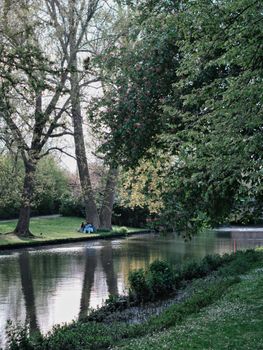 A peaceful spring day with trees reflecting in the canal in Bruges, Belgium.