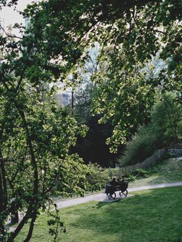 Tranquil scene of a couple sitting on a bench in a lush Bruges park, captured on a sunny day.