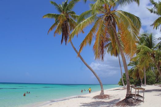 27 Waterfalls at Damajagua — Dominican Republic