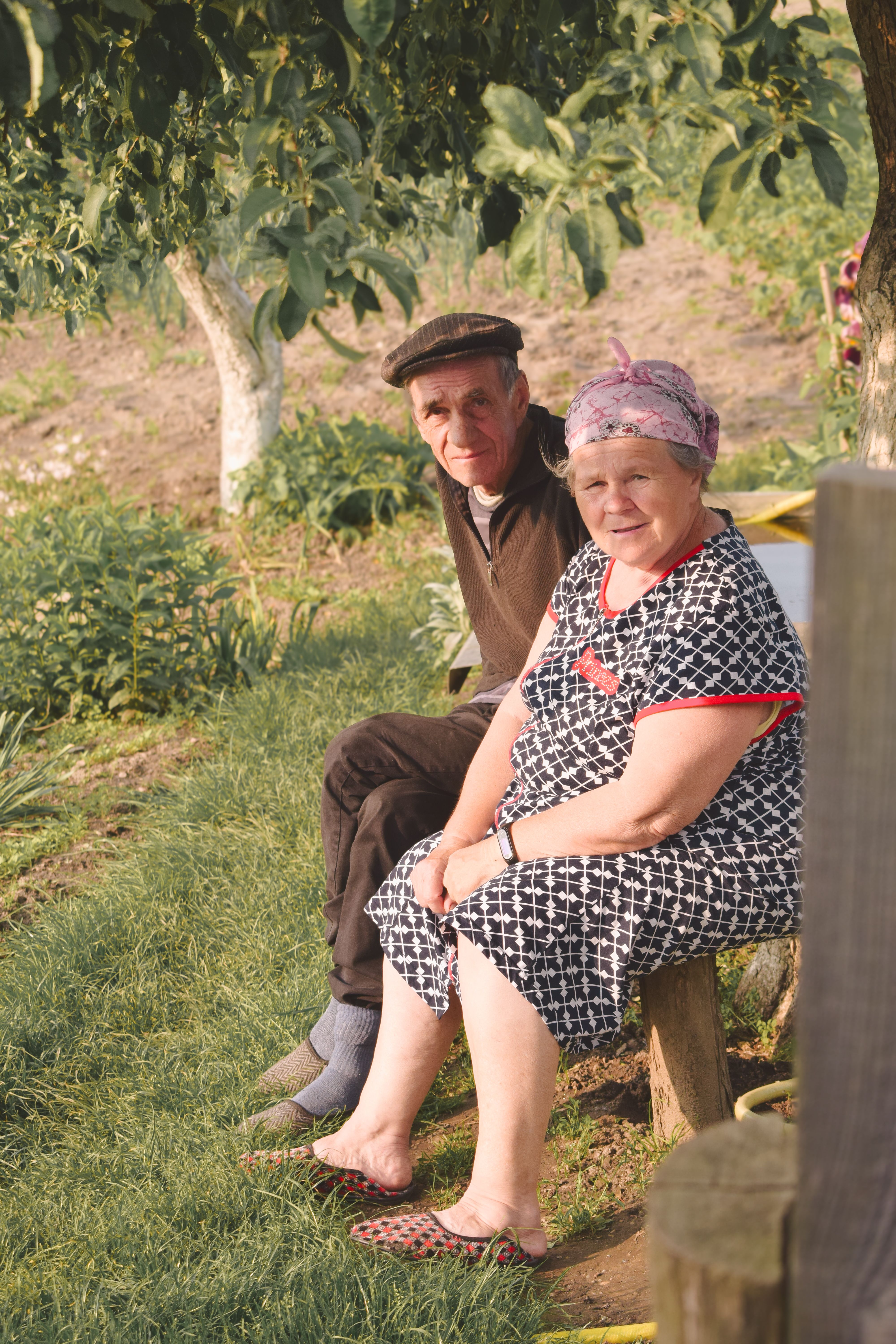 A senior couple enjoys a sunny afternoon sitting in a garden surrounded by lush greenery.