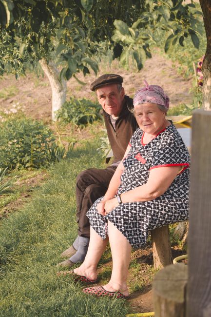 A senior couple enjoys a sunny afternoon sitting in a garden surrounded by lush greenery.