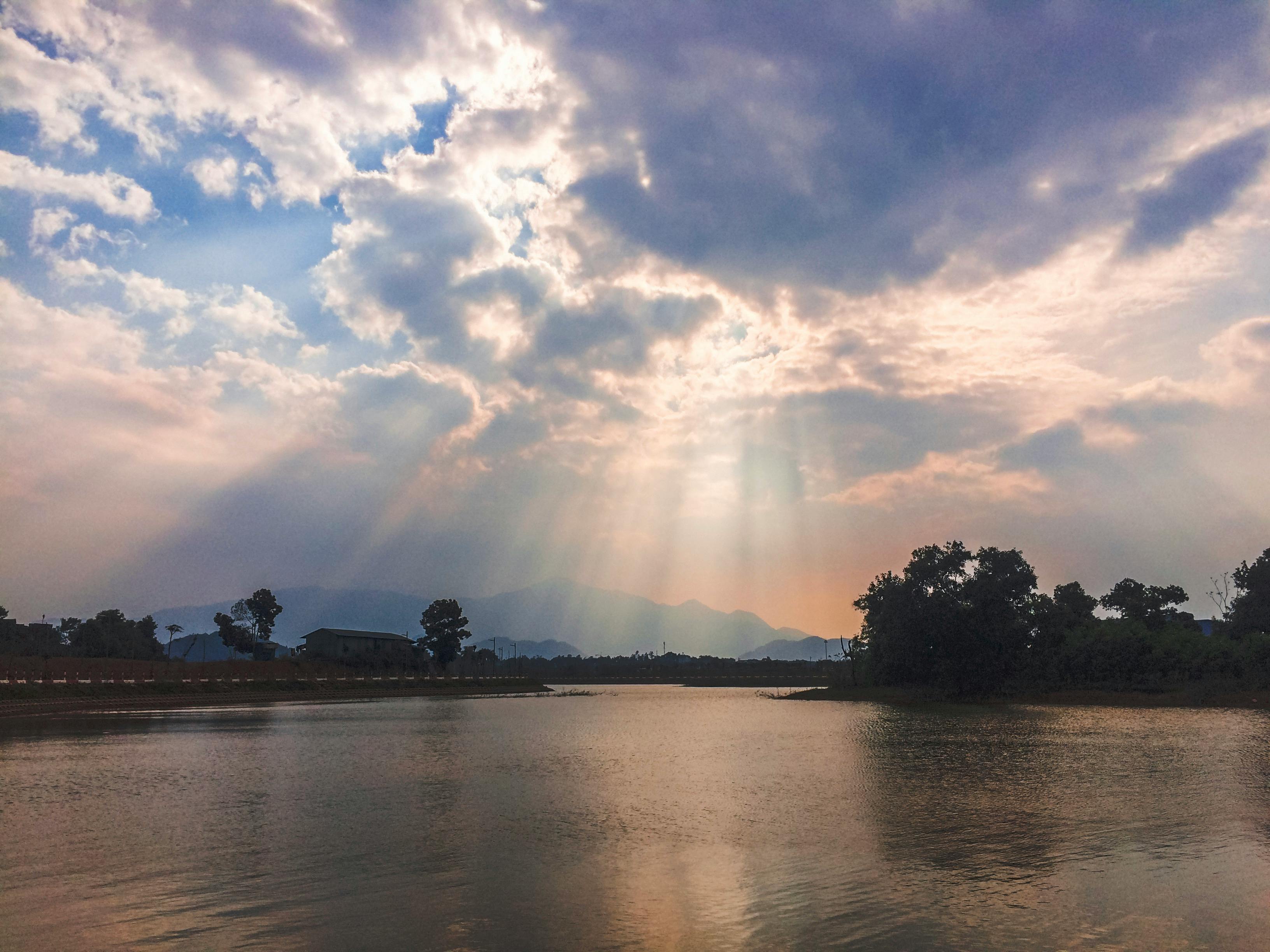 Man posing his biceps in a gym mirror