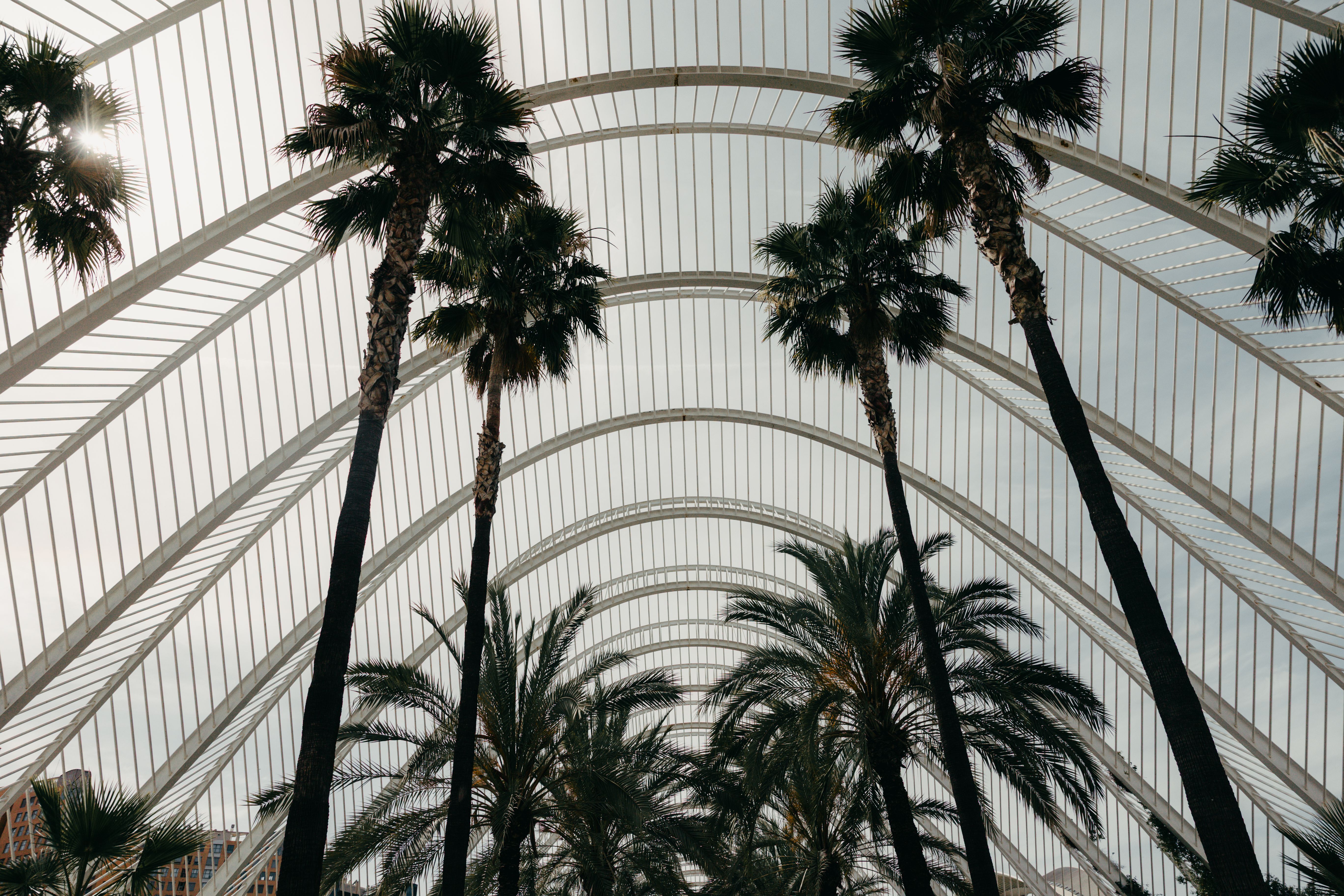 Valencia