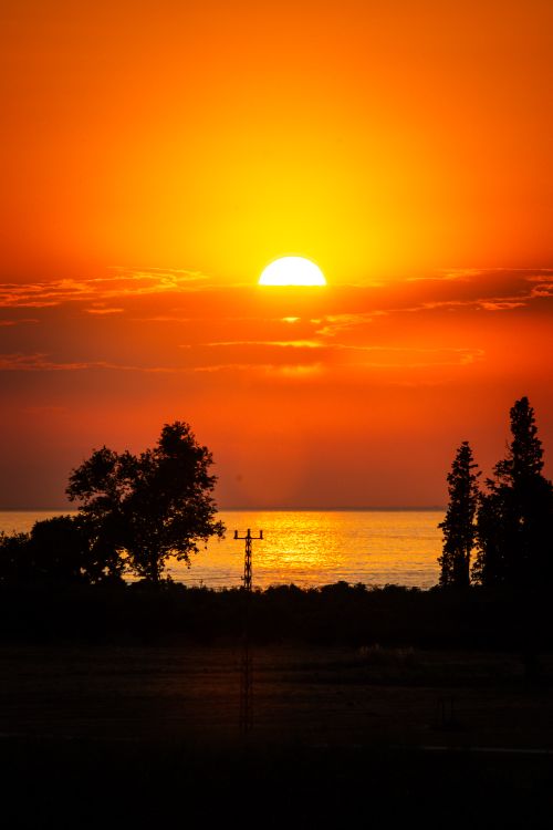 Free A breathtaking sunset view with orange hues reflecting on the ocean, framed by tree silhouettes. Stock Photo