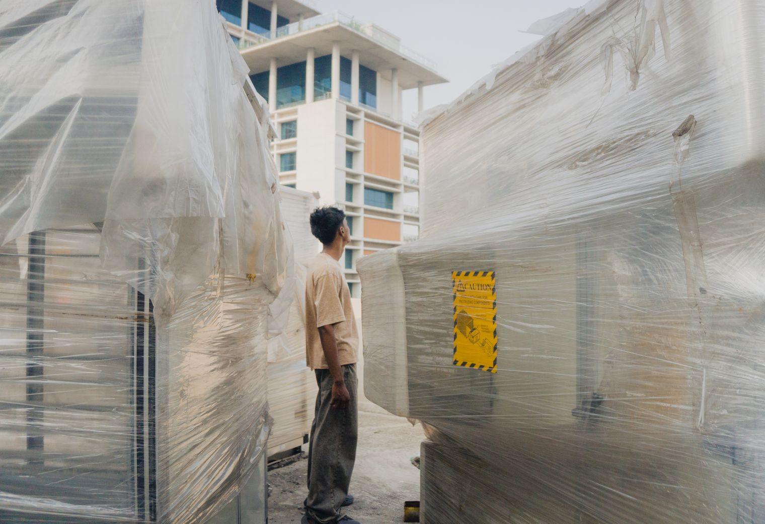 Lizard — professional packers wrapping and boxing belongings
