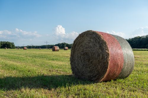 Free Large hay bales in a countryside field under a clear blue sky. Stock Photo