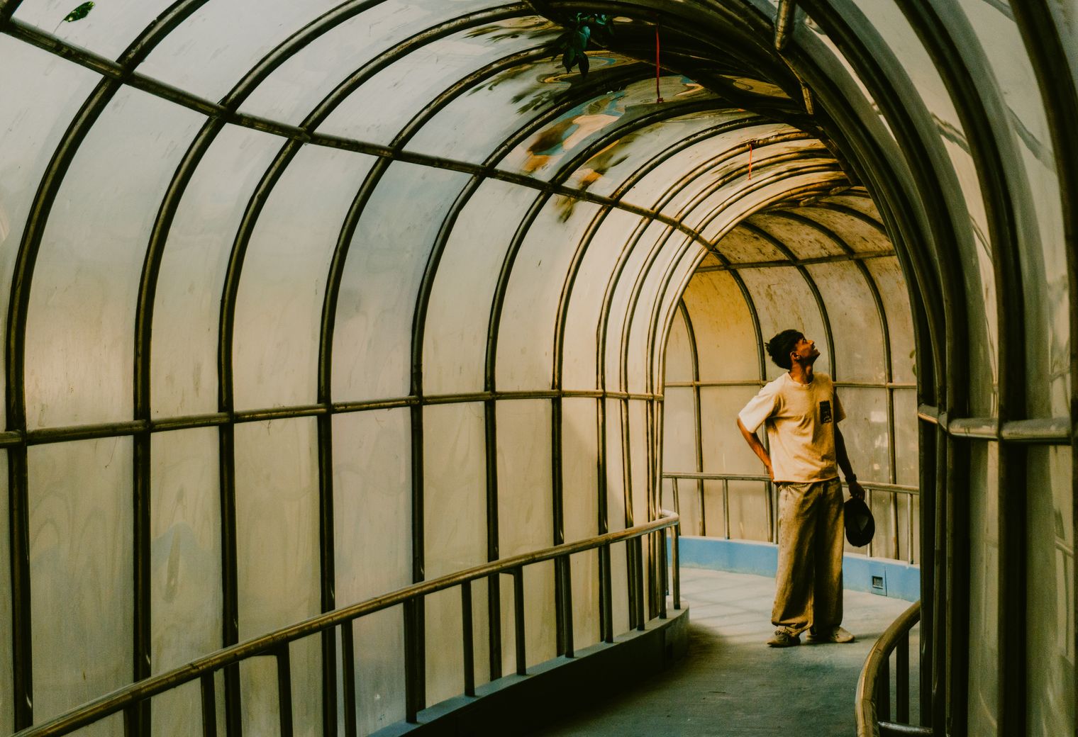 Interior Painting in Holland Park — surfaces prepped and cut in by hand