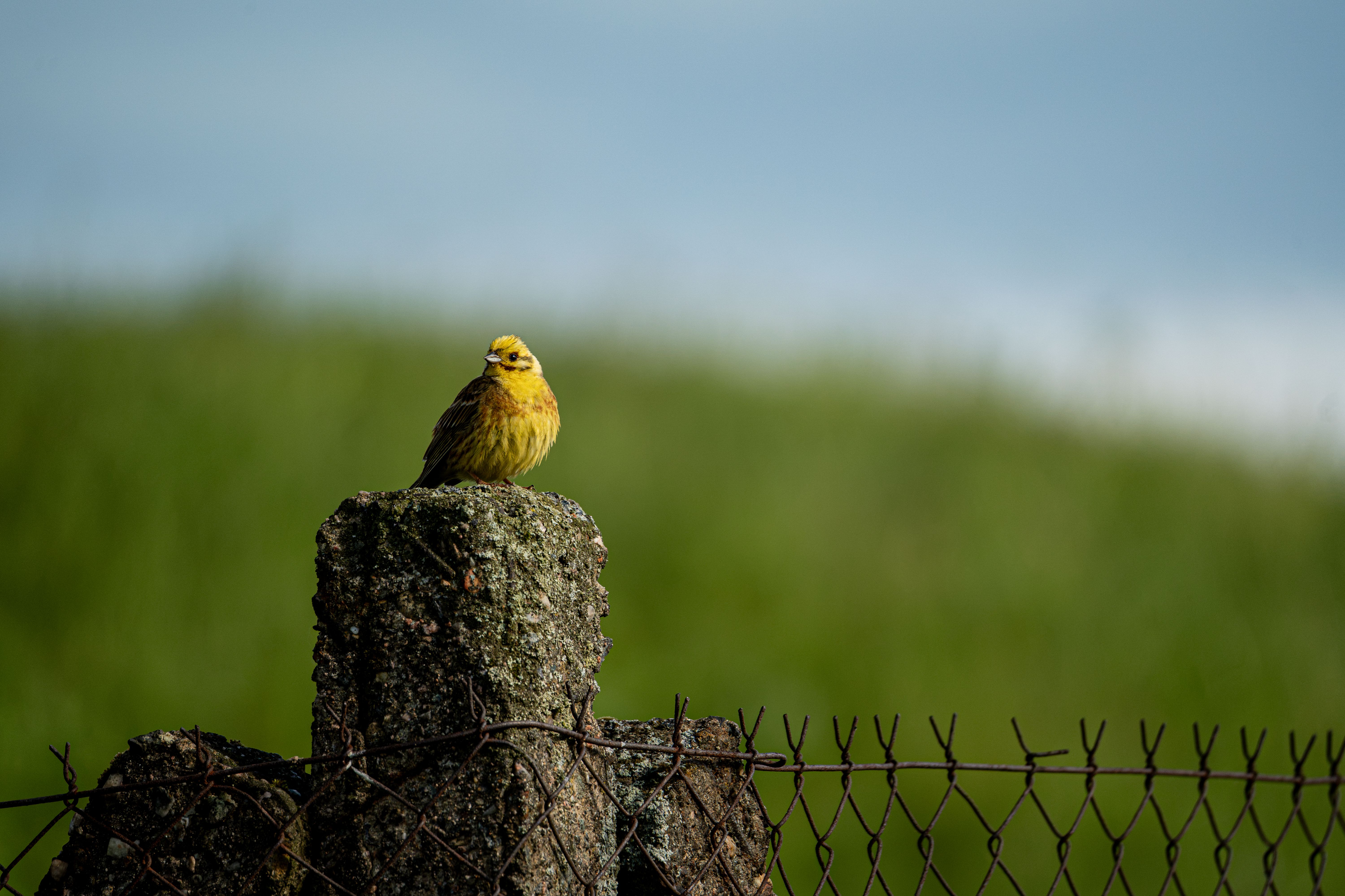 Foto: Jiří Dočkal / Pexels