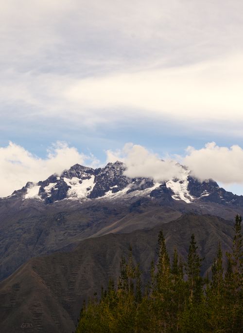 Free Breathtaking view of the snow-capped Andes mountains with pine trees in Peru. Stock Photo