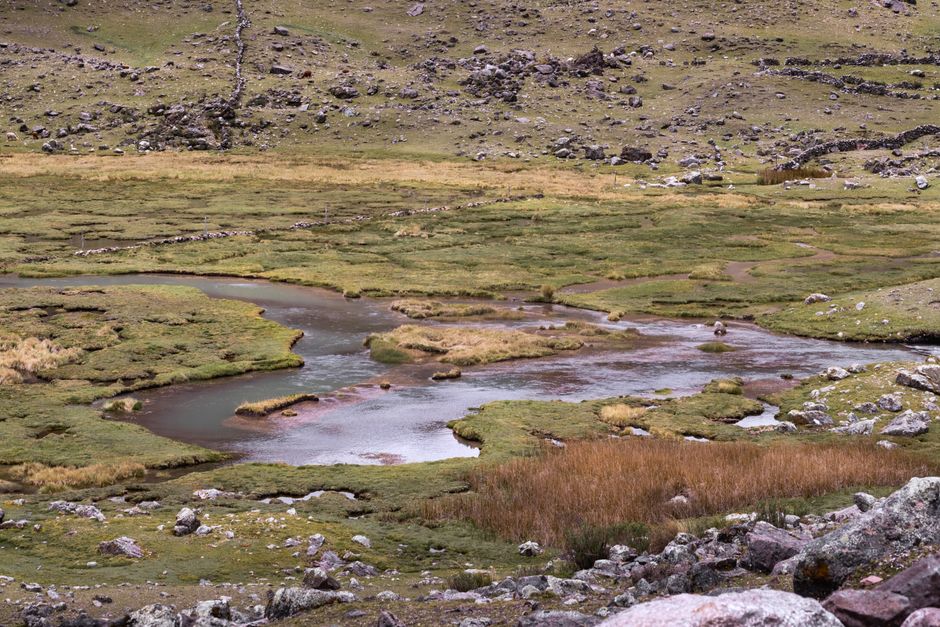 Incredible Nazca Land Archeological Tour Review: An Unforgettable 8-Hour Journey Through Peru's Ancient Mysteries Review 2026 - Discover the serene landscapes of the Andean wetlands in Peru, captured in vivid detail.