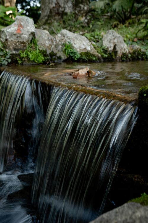 Free A small waterfall cascading over rocks in a tranquil botanical garden. Stock Photo