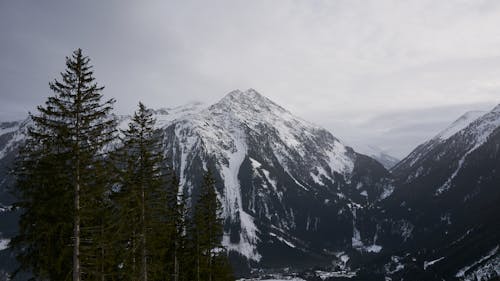 雪に覆われた山