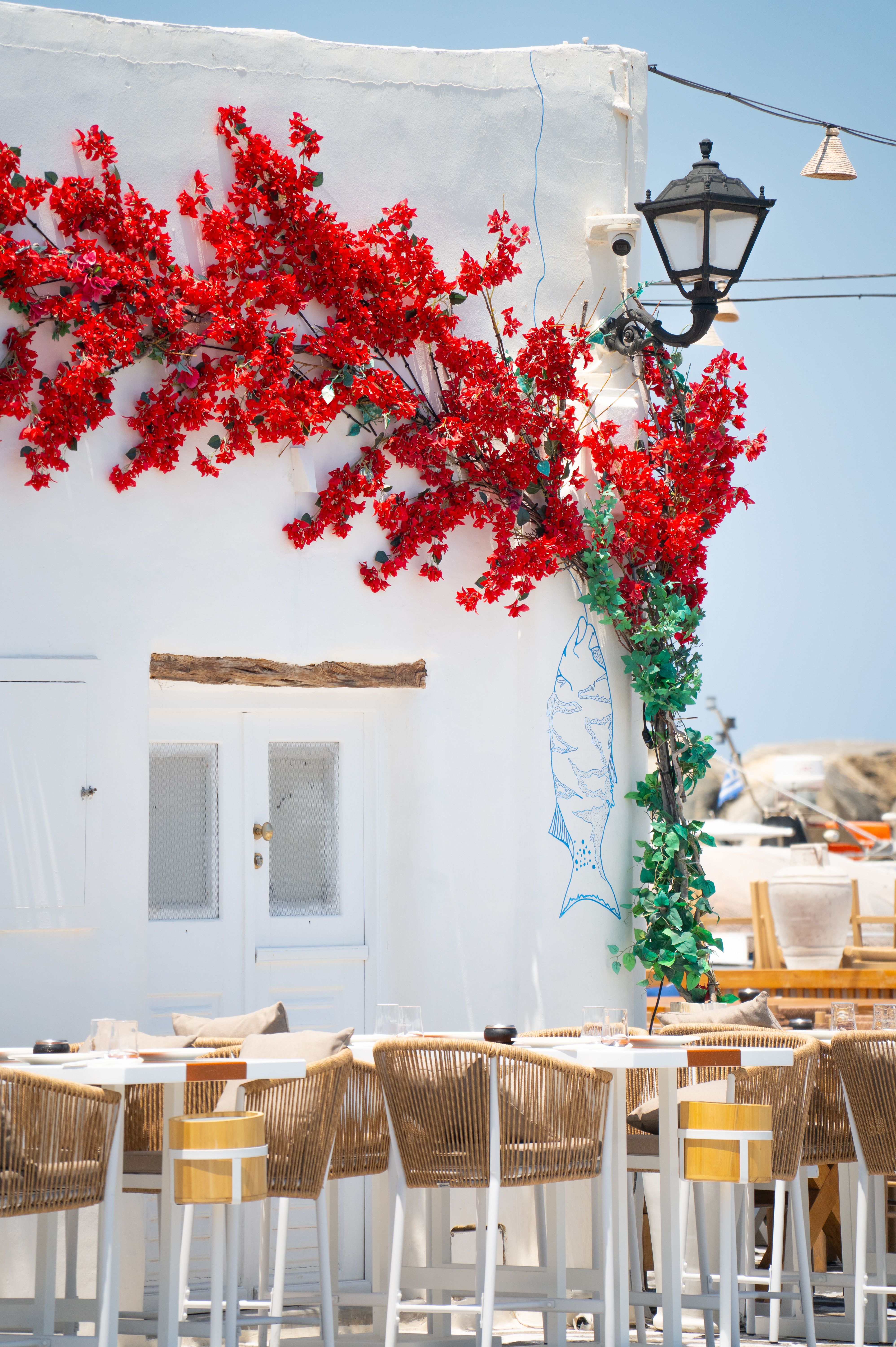 Picturesque outdoor cafe with vibrant red bougainvillea and classic Greek architecture.