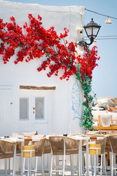 Picturesque outdoor cafe with vibrant red bougainvillea and classic Greek architecture.