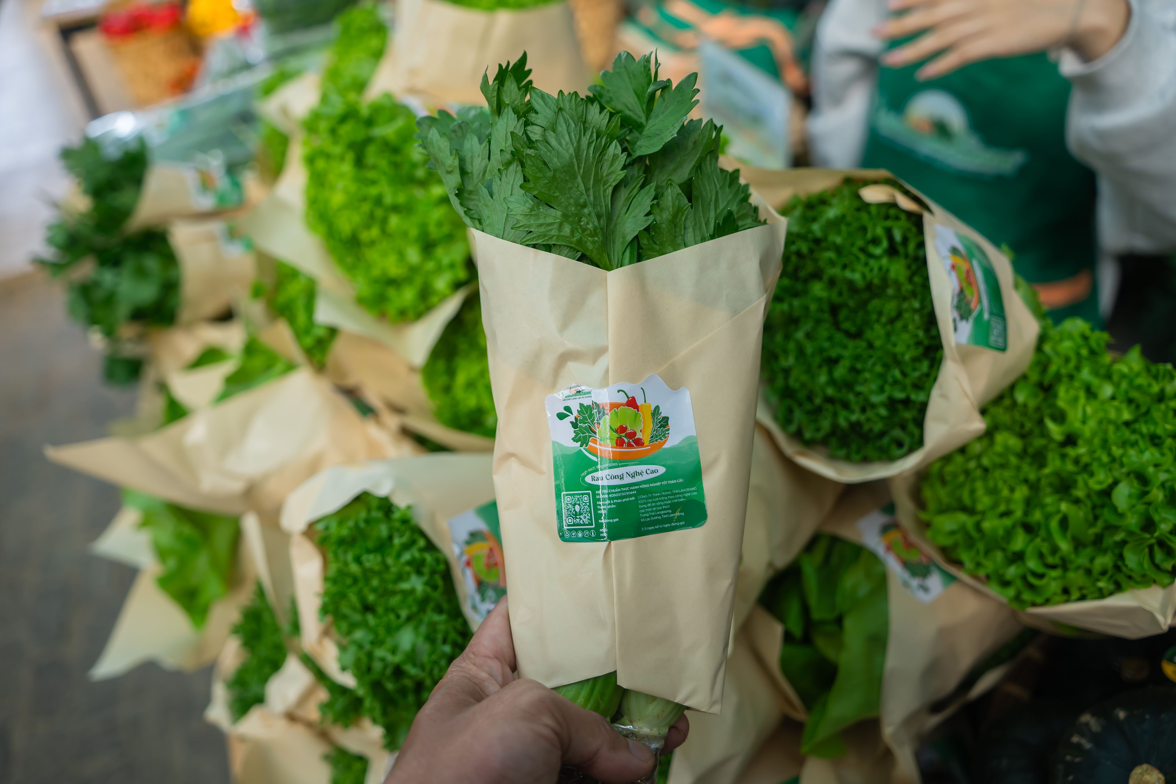 列奥纳多·达·芬奇：出于悲悯的素食者