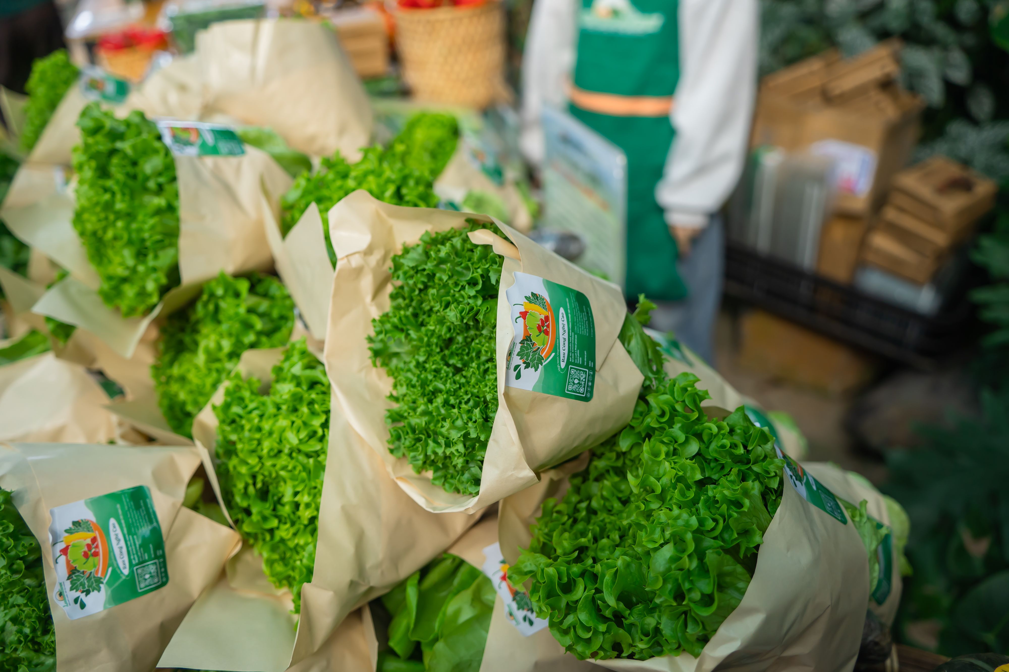 Cyclospora outbreak tied to Taylor Farms lettuce