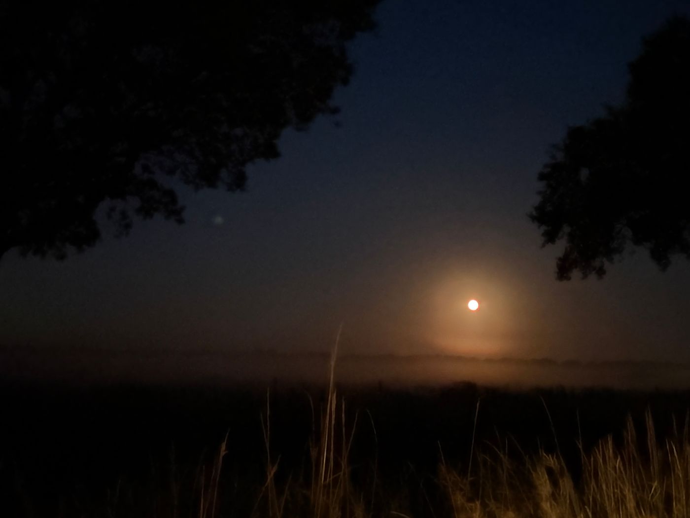 Stillness at Night