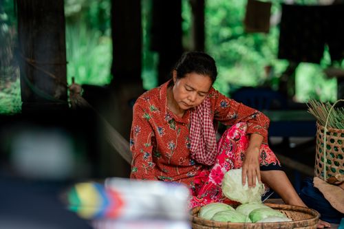 Free A female vendor in colorful attire arranging cabbages at an outdoor market. Stock Photo