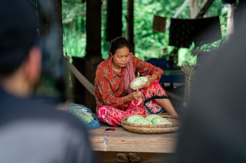 Free A woman in traditional attire prepares cabbage indoors with focused expression. Stock Photo
