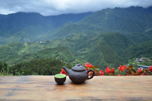 Free Elegant teapot and cup overlooking lush green mountains with vibrant flowers. Stock Photo