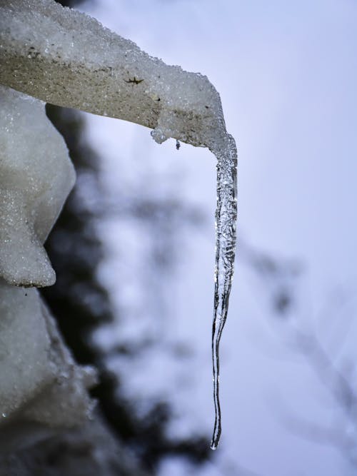 คลังภาพถ่ายฟรี ของ การถ่ายภาพของ nikon, ชิลล์, น้ำแข็ง