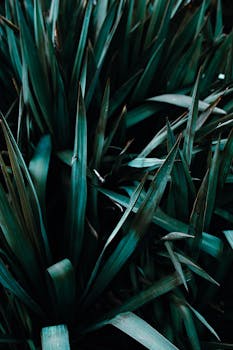 Image by Lisa from Pexels