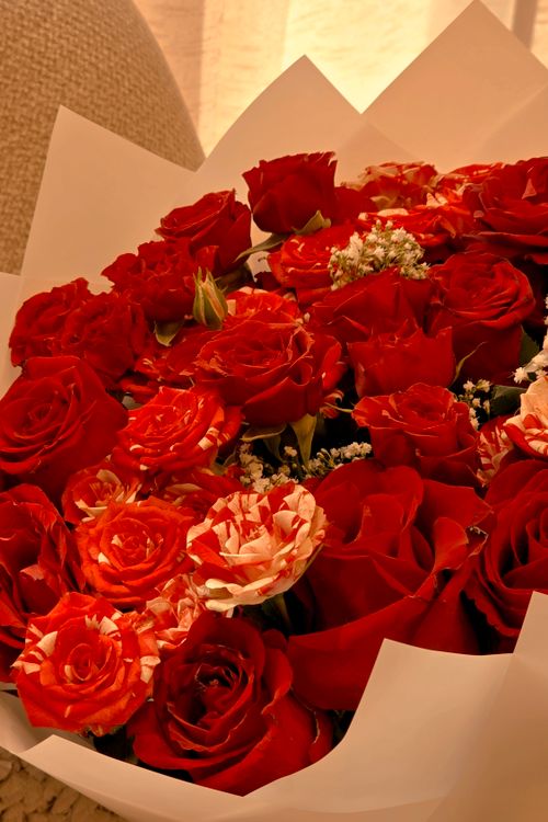Free Stunning arrangement of red roses in a delicate white wrap, perfect for gifts. Stock Photo