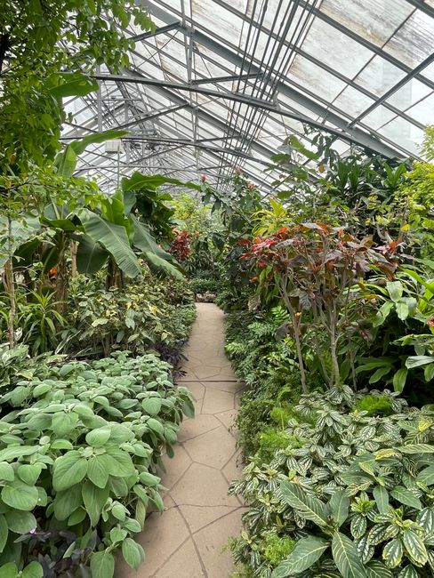 A Visit to the Tropical Botanical Garden things to do in poipu