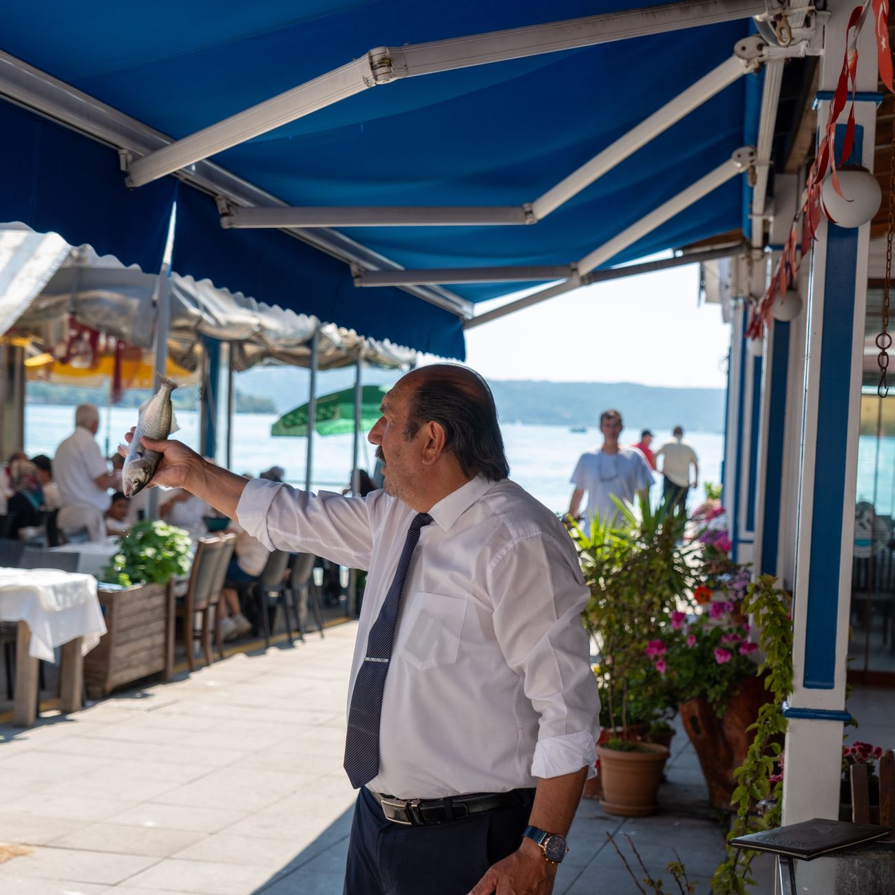 Köyceğiz'in Denizi, Ekincik'in Lezzeti: Balıkçılık Kültürü ve Taze Balık Restoranları