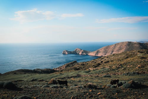 Základová fotografie zdarma na téma agios stefanos, cestování, dobrodružství