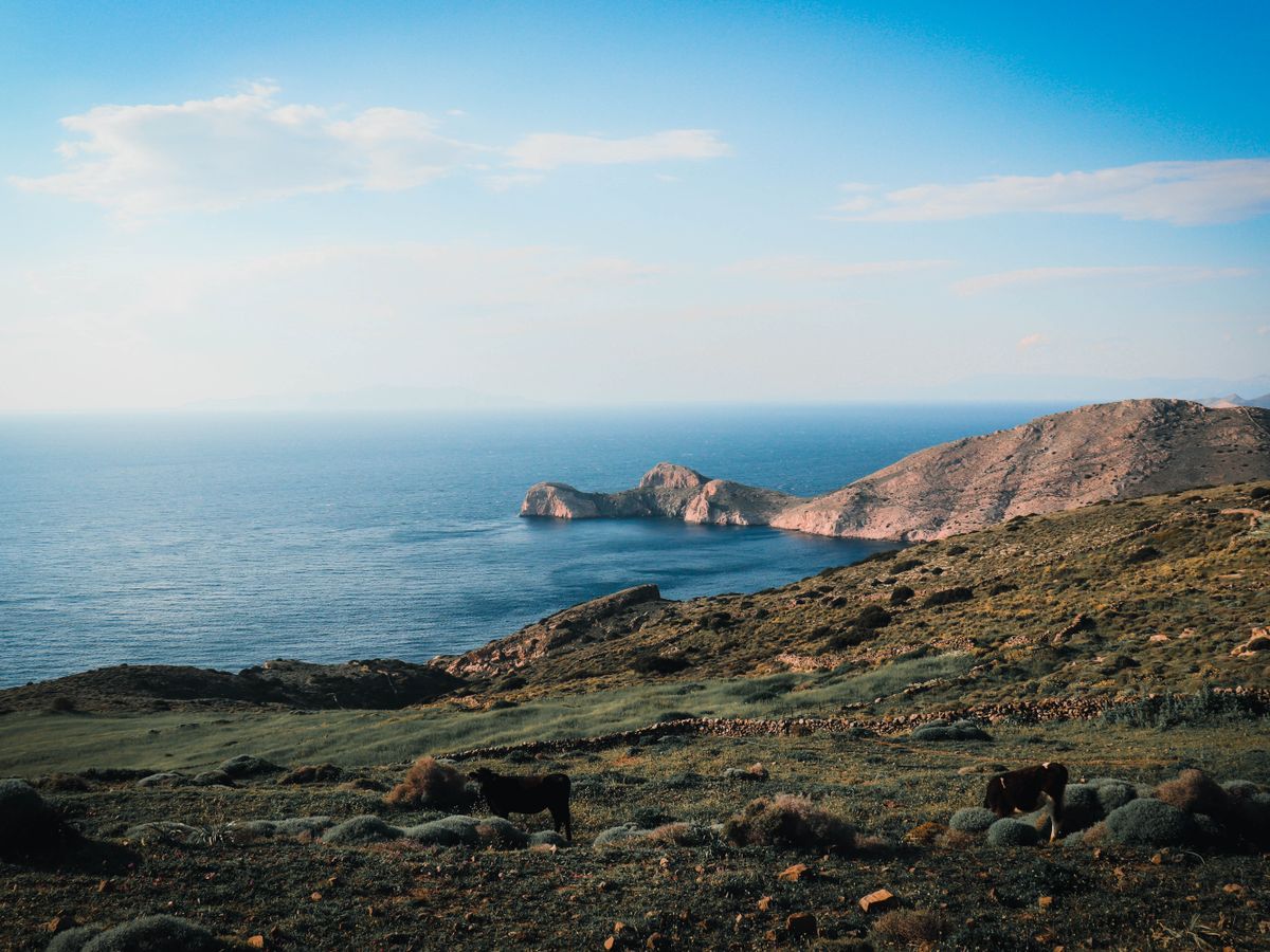 5 Day Yoga and Healing Retreat in Mykonos Island, Greece 3