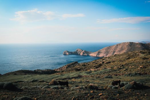 Landscape Near Ocean